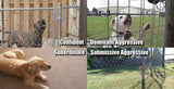 #800 Dog Bite Prevention Online Training Course - 10 Modules