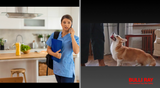 #802 BRAND NEW! Home Health Care Online Training Course on Dog Bite Prevention - 6 Modules