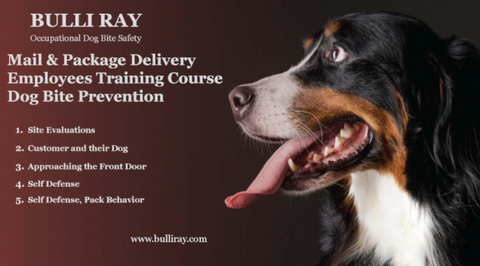 #803 BRAND NEW! Utility, County & City Employees Online Training Course on Dog Bite Prevention - 6 Modules
