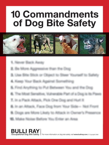 #726 Safety Poster - 10 Commandments ODBS