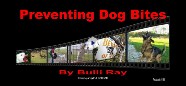 200 Mini Magnet Dog Bite Stick/Door Knocker w/Clip – Bulli Ray - Dog Bite  Prevention Products