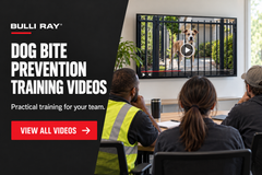 DOG BITE PREVENTION TRAINING VIDEOS
