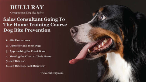 #805 BRAND NEW! As low as $15.00! 2024 Window Sales Consultant Training Course on Dog Bite Prevention