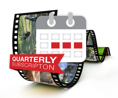 Video Streaming - Quarterly